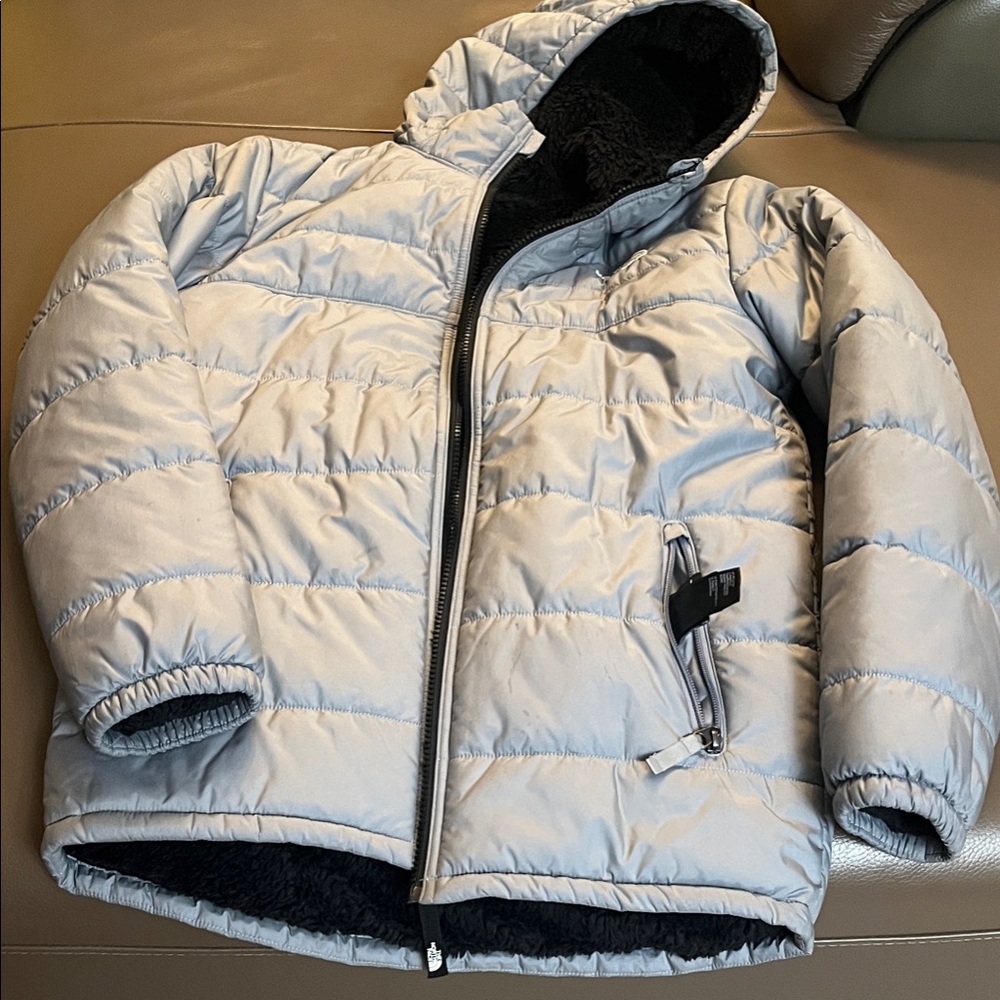 The North Face Silver Puffer Jacket
